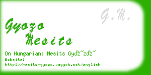 gyozo mesits business card